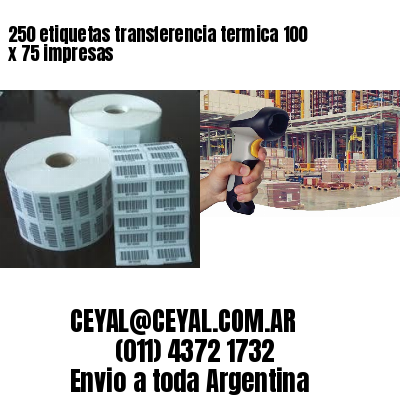 250 etiquetas transferencia termica 100 x 75 impresas
