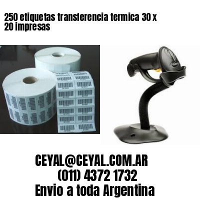 250 etiquetas transferencia termica 30 x 20 impresas