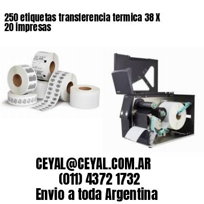 250 etiquetas transferencia termica 38 X 20 impresas