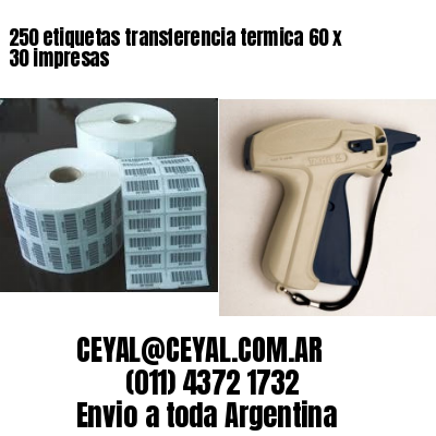250 etiquetas transferencia termica 60 x 30 impresas