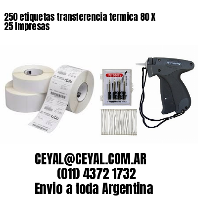 250 etiquetas transferencia termica 80 X 25 impresas