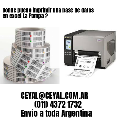 Donde puedo imprimir una base de datos en excel La Pampa ?