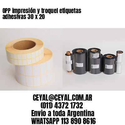 OPP impresión y troquel etiquetas adhesivas 30 x 20