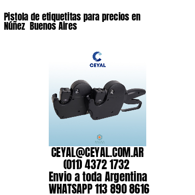 Pistola de etiquetitas para precios en Núñez  Buenos Aires