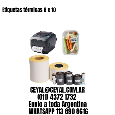 Etiquetas térmicas 6 x 10
