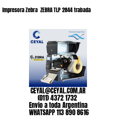 Impresora Zebra  ZEBRA TLP 2844 trabada
