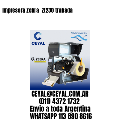 Impresora Zebra  zt230 trabada