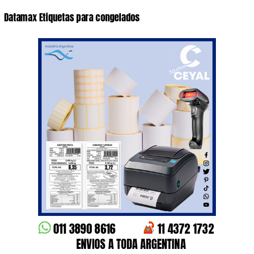 Datamax Etiquetas para congelados