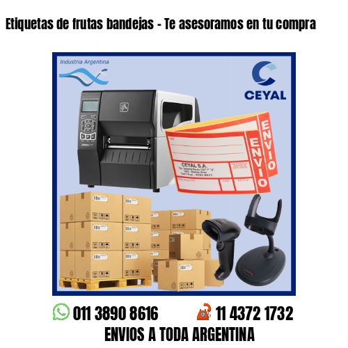 Etiquetas de frutas bandejas – Te asesoramos en tu compra