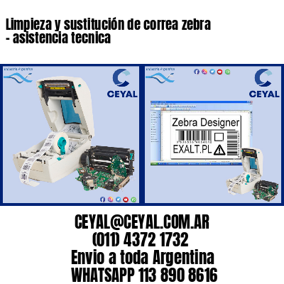 Limpieza y sustitución de correa zebra – asistencia tecnica