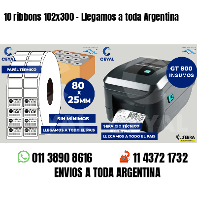10 ribbons 102x300 - Llegamos a toda Argentina