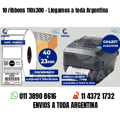 10 ribbons 110x300 - Llegamos a toda Argentina