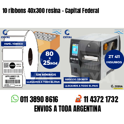 10 ribbons 40x300 resina - Capital Federal