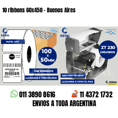10 ribbons 60x450 - Buenos Aires