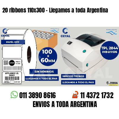 20 ribbons 110x300 - Llegamos a toda Argentina