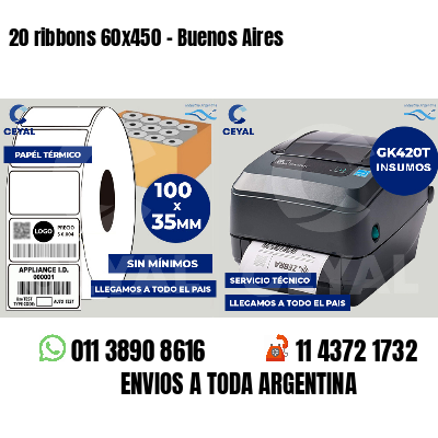 20 ribbons 60x450 - Buenos Aires