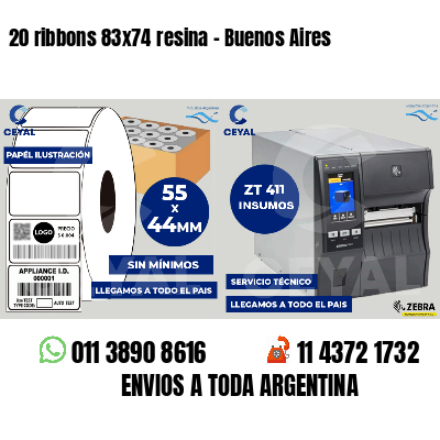 20 ribbons 83x74 resina - Buenos Aires