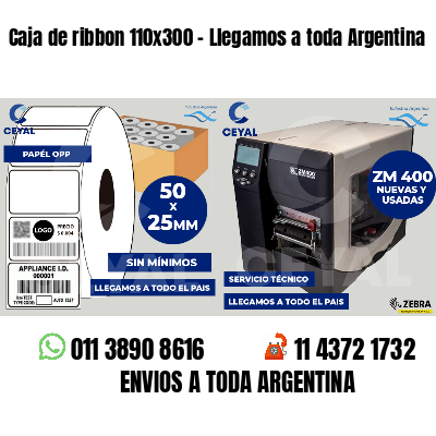 Caja de ribbon 110x300 - Llegamos a toda Argentina
