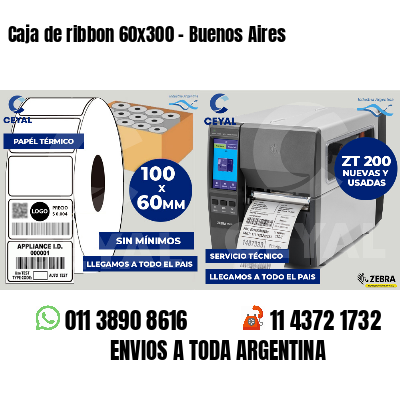 Caja de ribbon 60x300 - Buenos Aires
