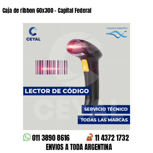 Caja de ribbon 60x300 - Capital Federal