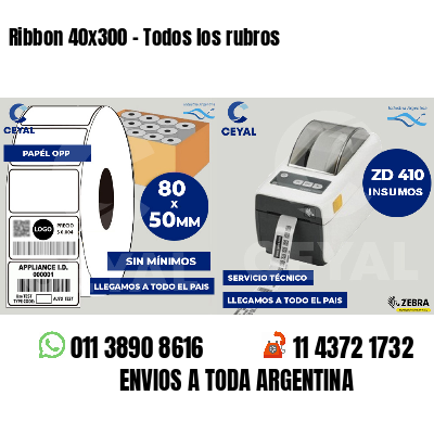 Ribbon 40x300 - Todos los rubros