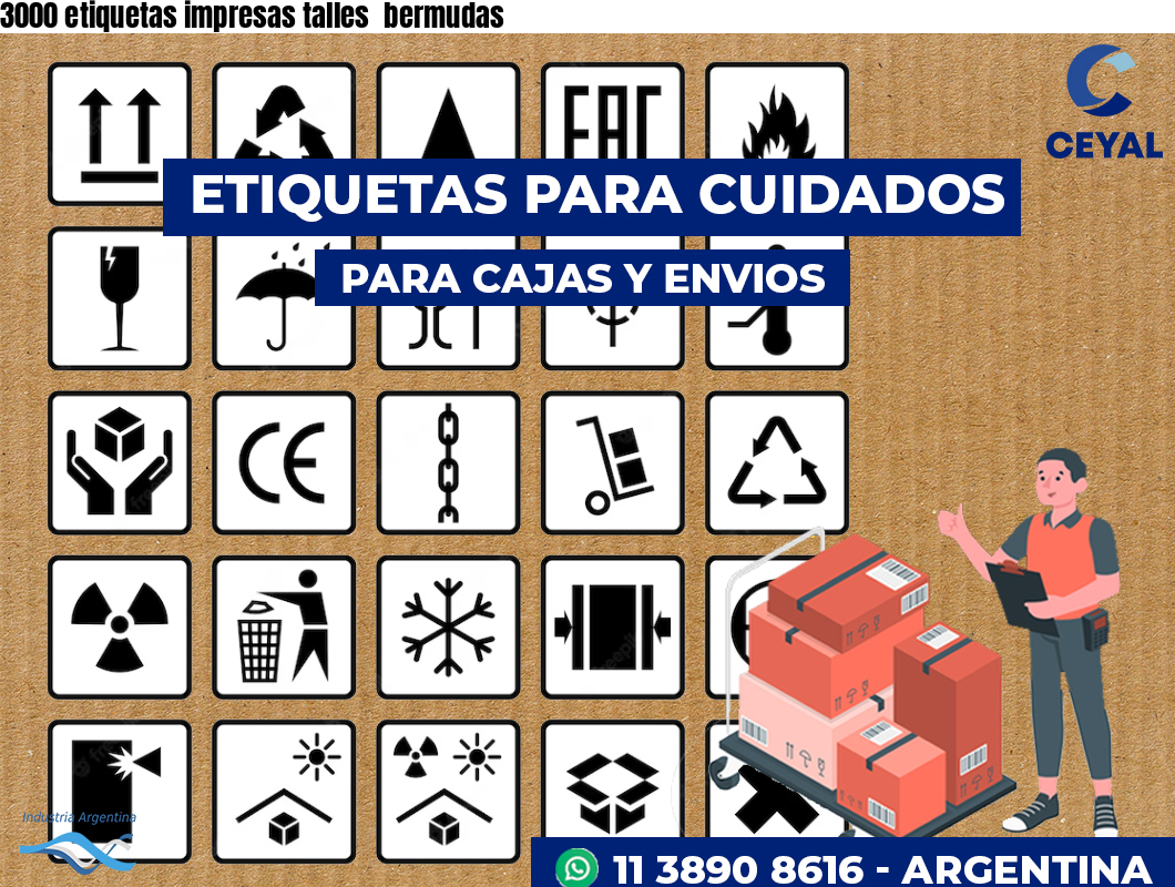 3000 etiquetas impresas talles  bermudas