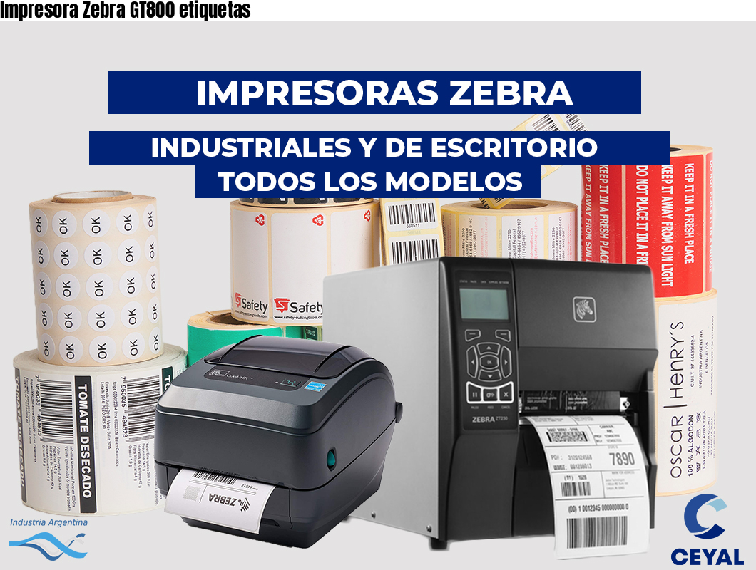 Impresora Zebra GT800 etiquetas