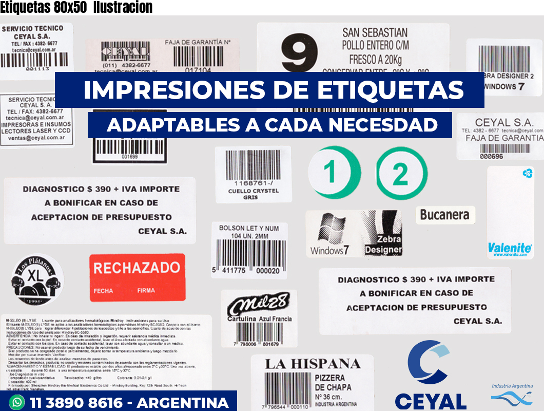 Etiquetas 80x50  Ilustracion