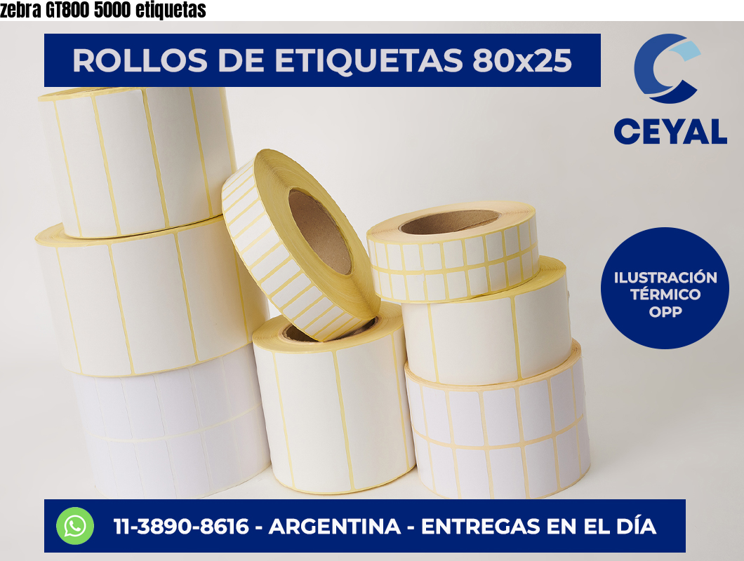 zebra GT800 5000 etiquetas