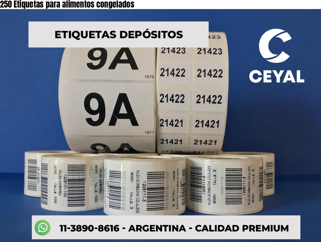 250 Etiquetas para alimentos congelados