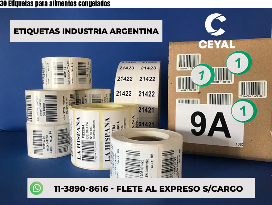 30 Etiquetas para alimentos congelados