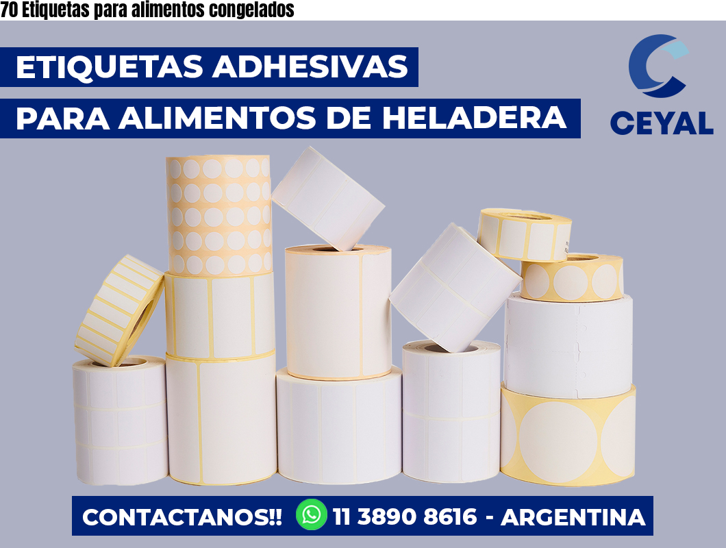 70 Etiquetas para alimentos congelados