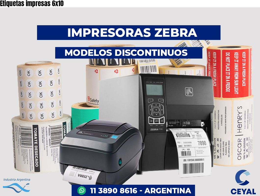 Etiquetas impresas 6x10 