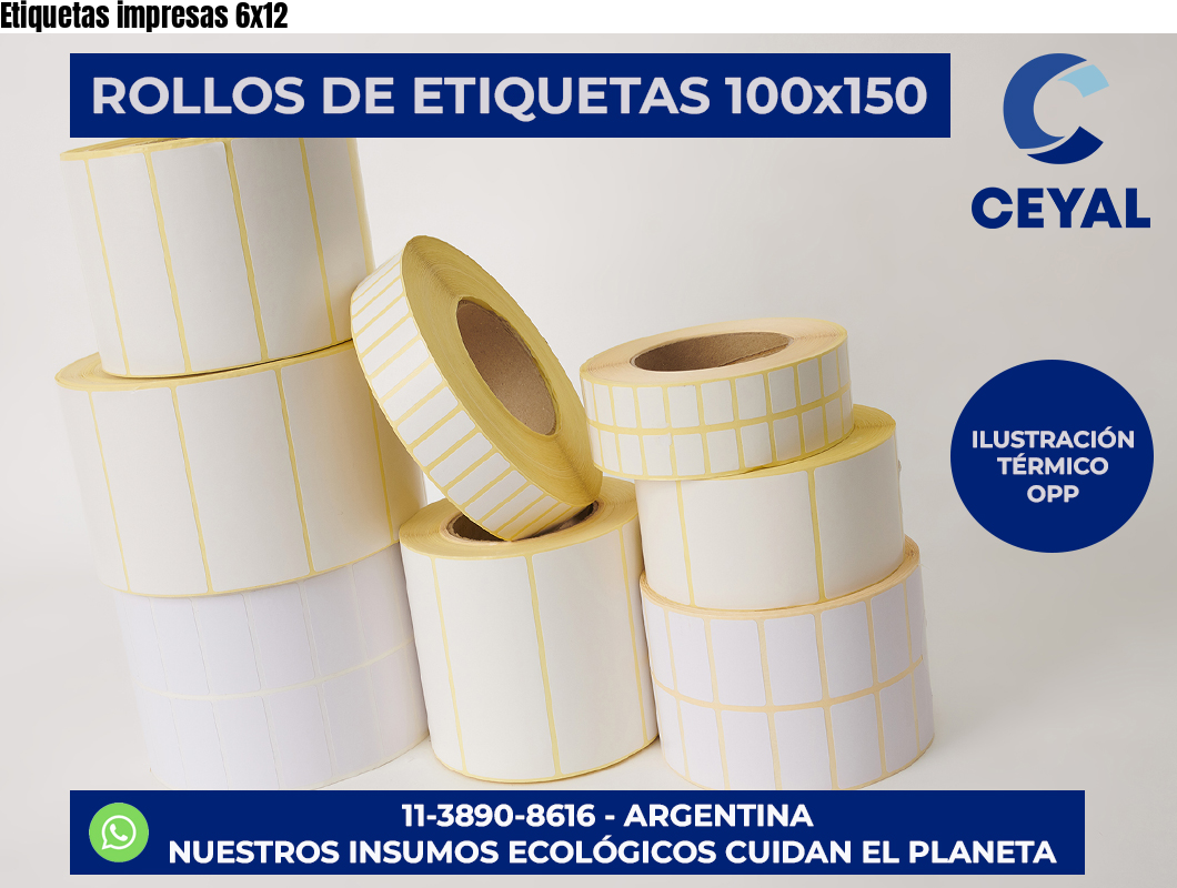 Etiquetas impresas 6×12