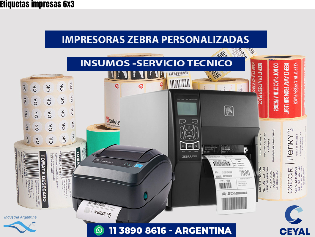 Etiquetas impresas 6x3