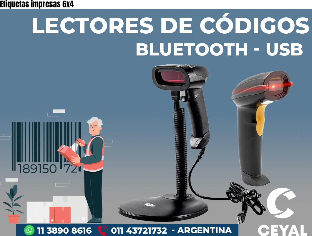 Etiquetas impresas 6x4 