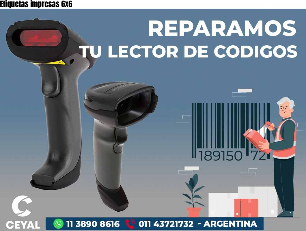 Etiquetas impresas 6x6