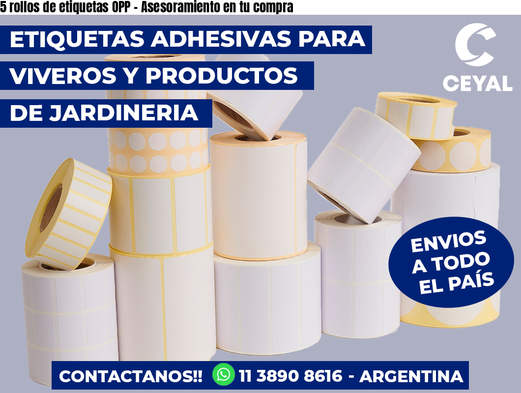 5 rollos de etiquetas OPP - Asesoramiento en tu compra