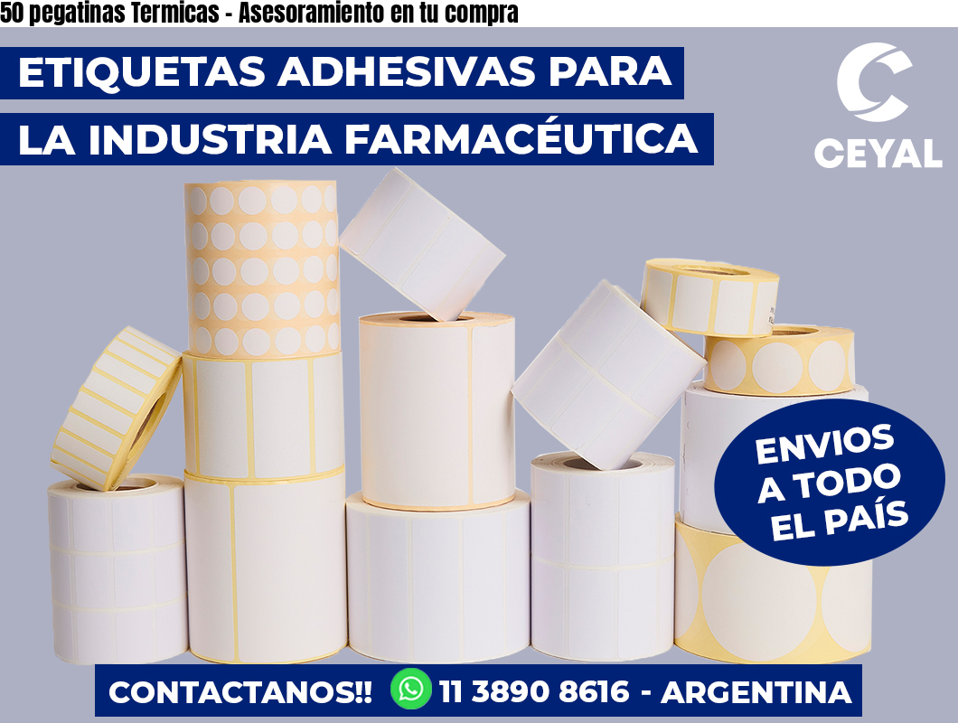 50 pegatinas Termicas – Asesoramiento en tu compra