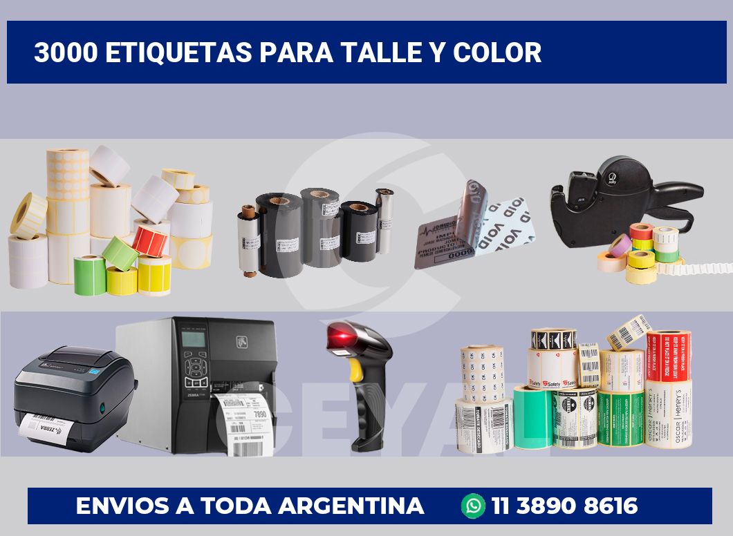 3000 Etiquetas para talle y color