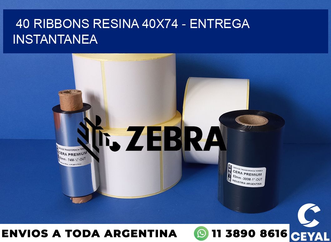 40 Ribbons resina 40x74 - entrega instantanea
