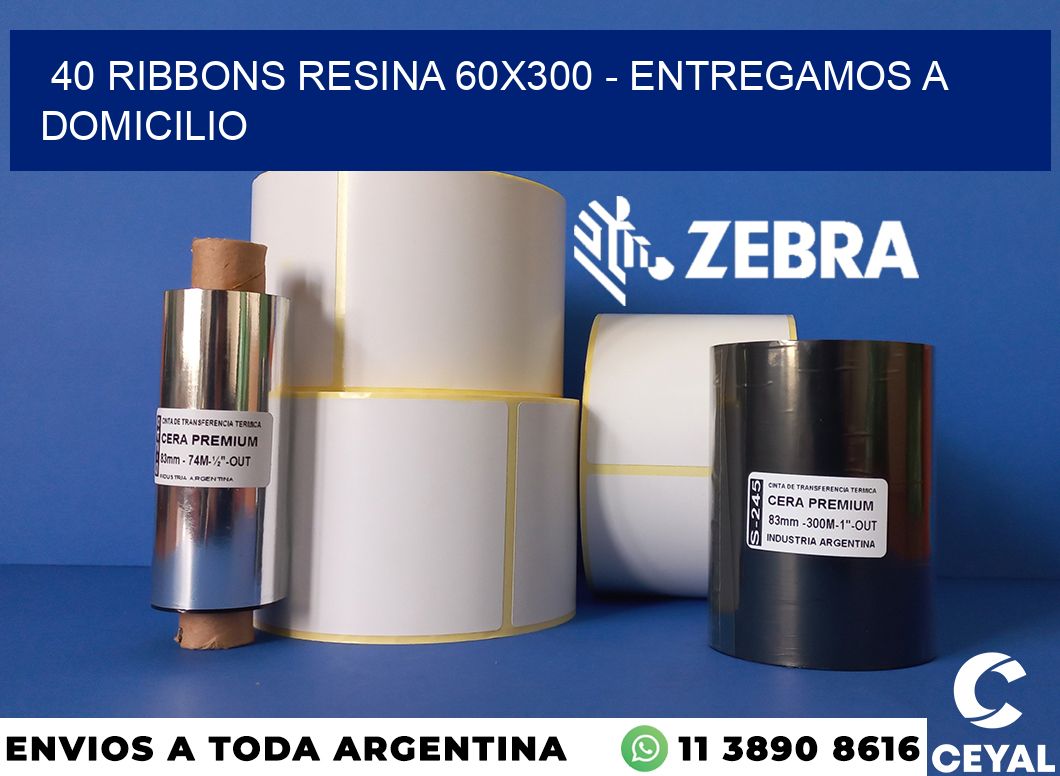 40 Ribbons resina 60x300 - entregamos a domicilio
