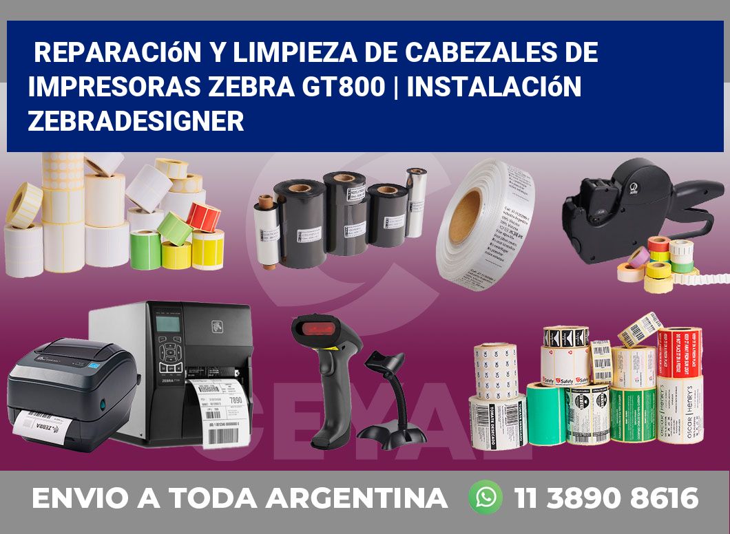Reparación y limpieza de cabezales de impresoras Zebra GT800 | Instalación ZebraDesigner