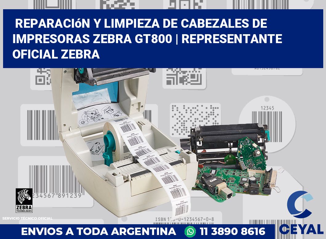 Reparación y limpieza de cabezales de impresoras Zebra GT800 | Representante oficial Zebra