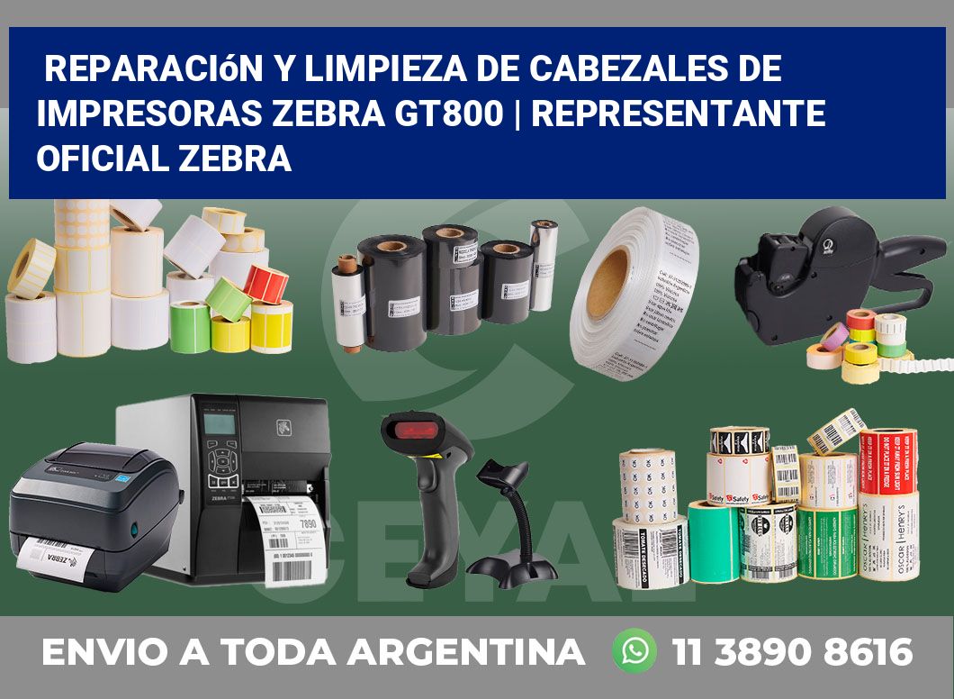 Reparación y limpieza de cabezales de impresoras Zebra GT800 | Representante oficial Zebra