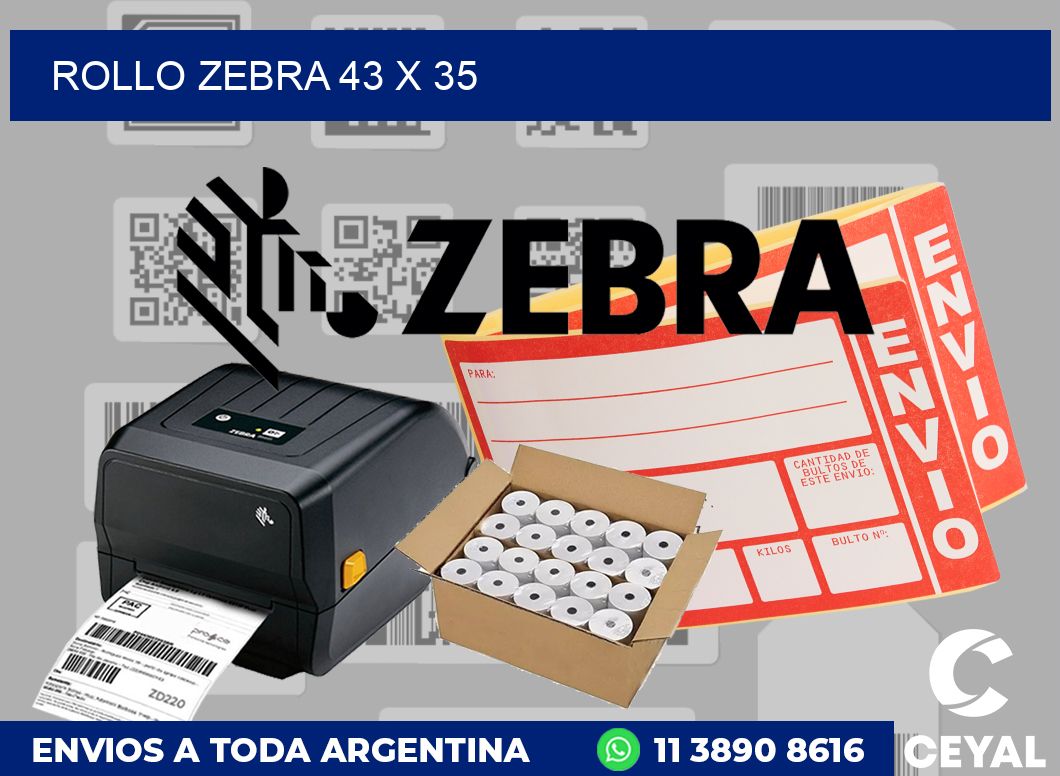 rollo zebra 43 x 35