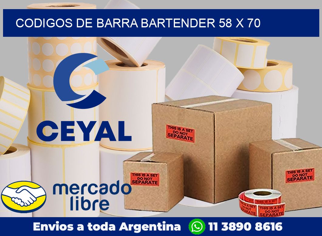 Codigos de barra Bartender 58 x 70