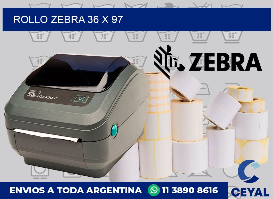 rollo zebra 36 x 97