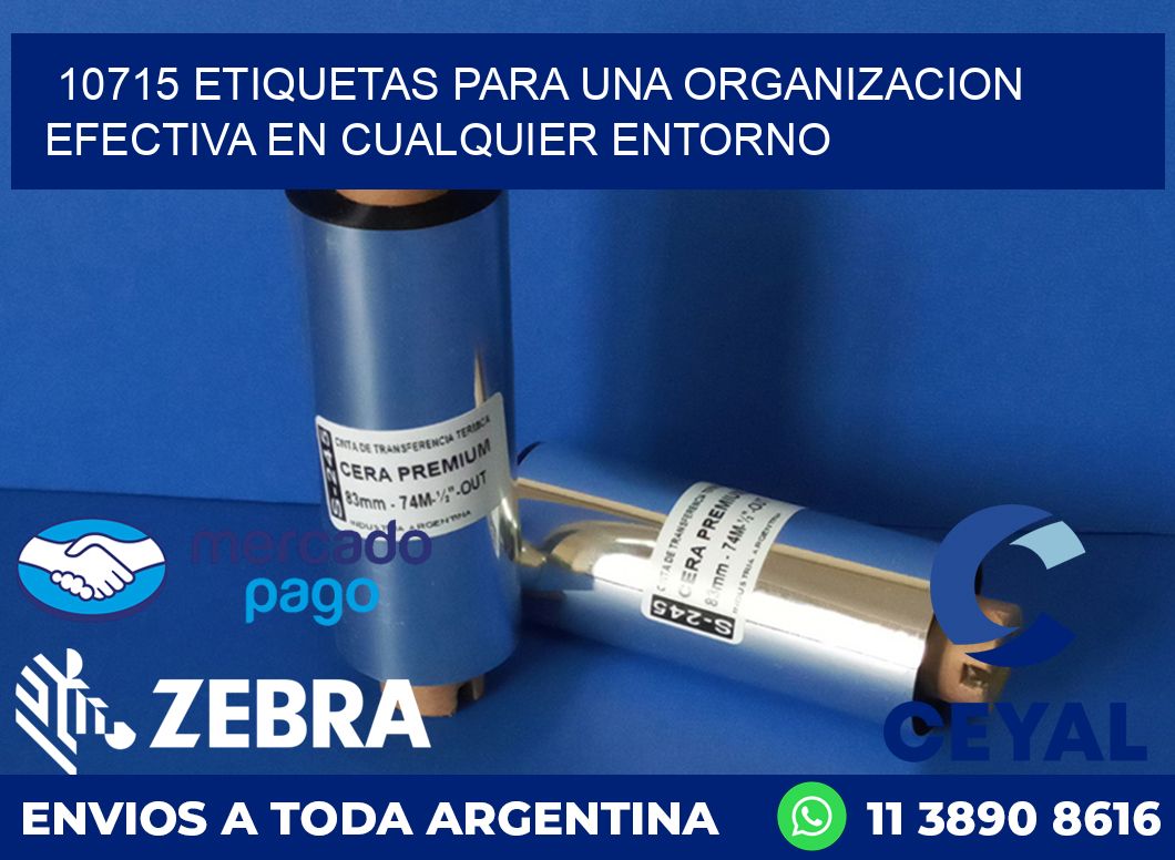 10715 ETIQUETAS PARA UNA ORGANIZACION EFECTIVA EN CUALQUIER ENTORNO