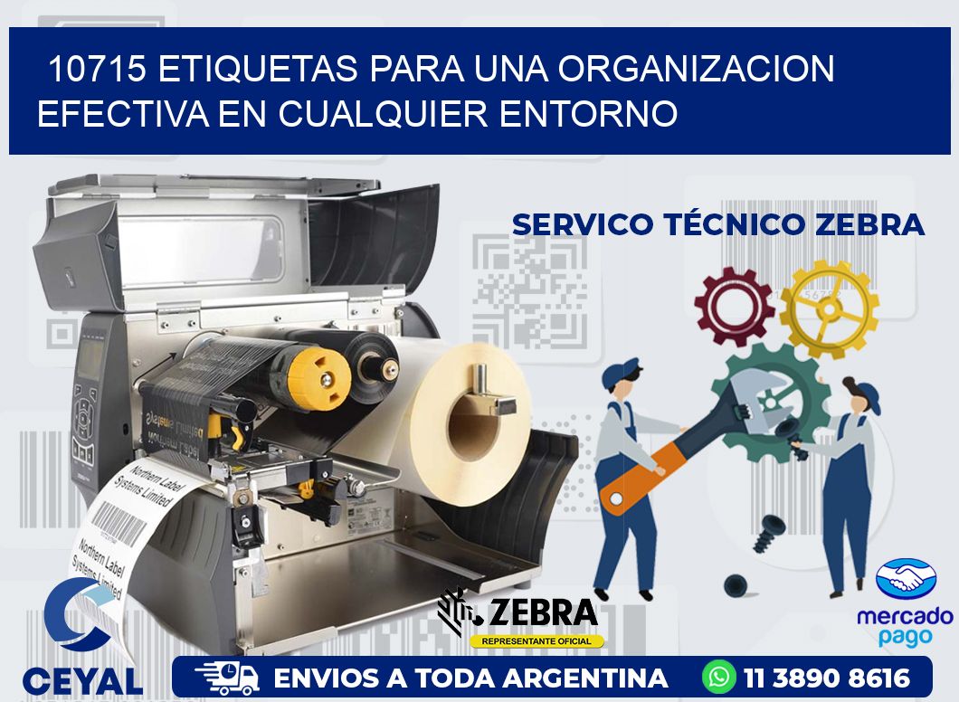 10715 ETIQUETAS PARA UNA ORGANIZACION EFECTIVA EN CUALQUIER ENTORNO